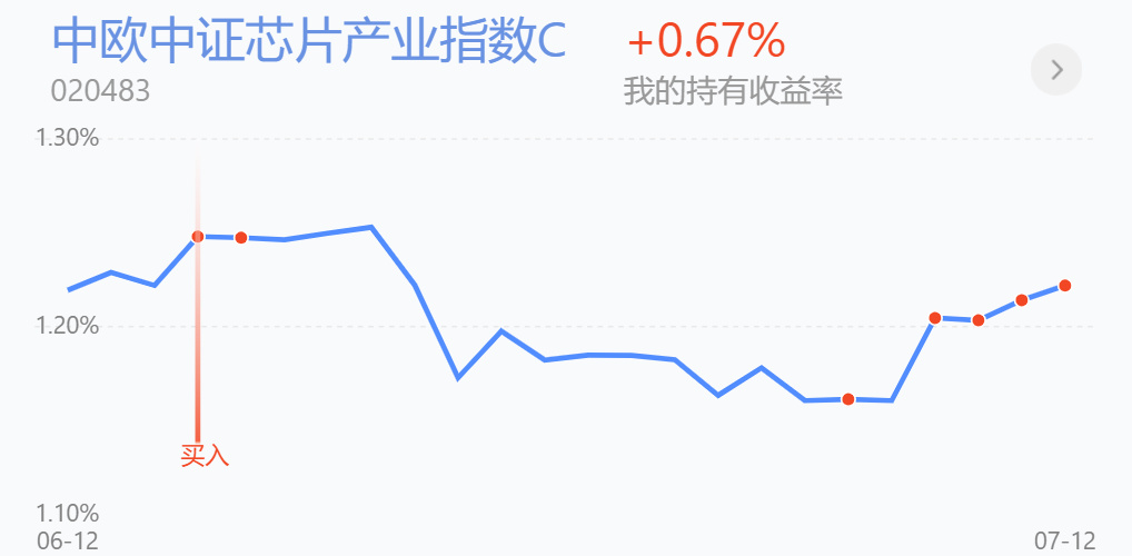 A股调整下最抗跌的半导体大龙头,被错杀85%后,集成电路基金出手了